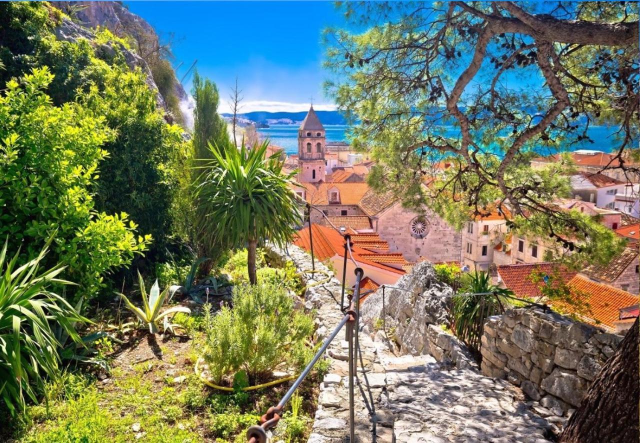 Borovina Apartma Stanici
